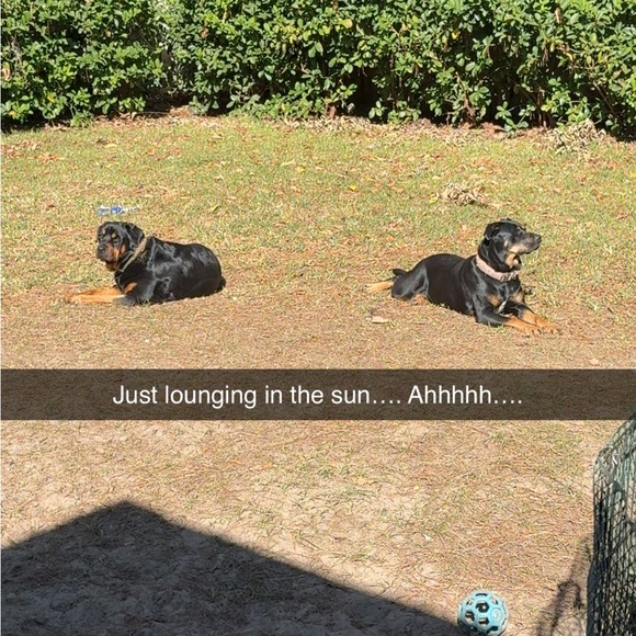 Meet your Posher, Wendy - Picture 2 of 2